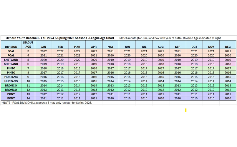 Fall 2024 & Spring 2025 League Age Chart