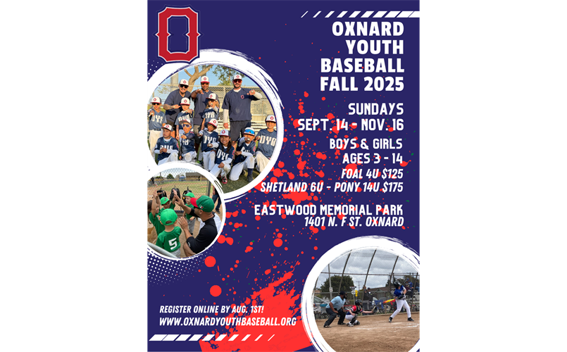 2025 Fall Baseball Registration 